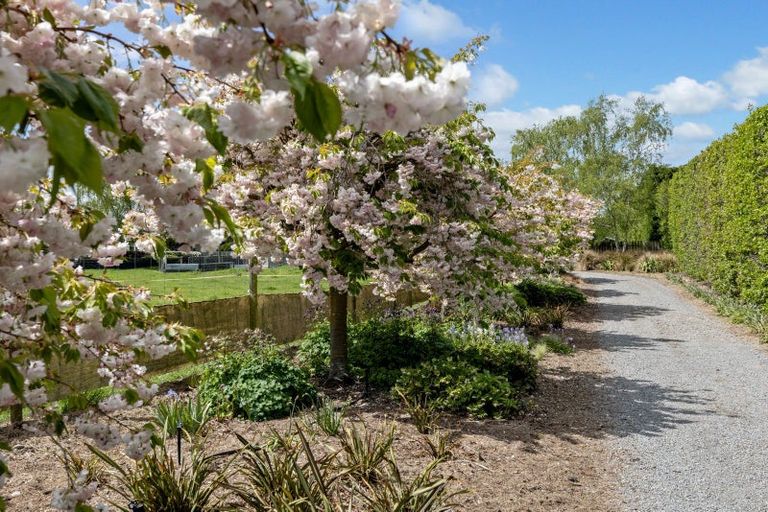 Photo of property in 74 Adams Road, West Melton, Christchurch, 7676