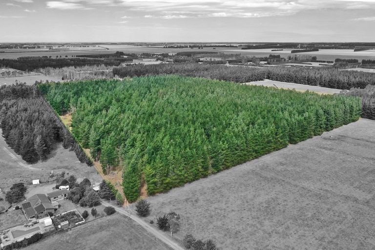 Photo of property in 2/374 Karanga Road, Dunsandel, Leeston, 7682