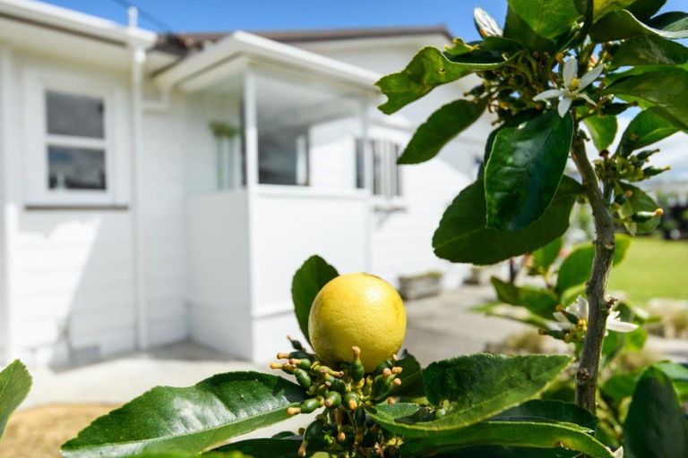 Photo of property in 52 Bamfield Street, Ashhurst, 4810