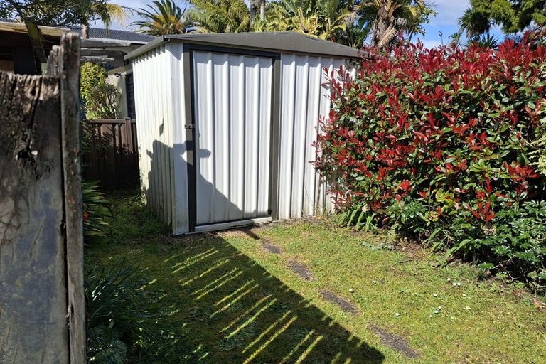 Photo of property in 38 Carlton Crescent, Te Kamo, Kamo, 0112