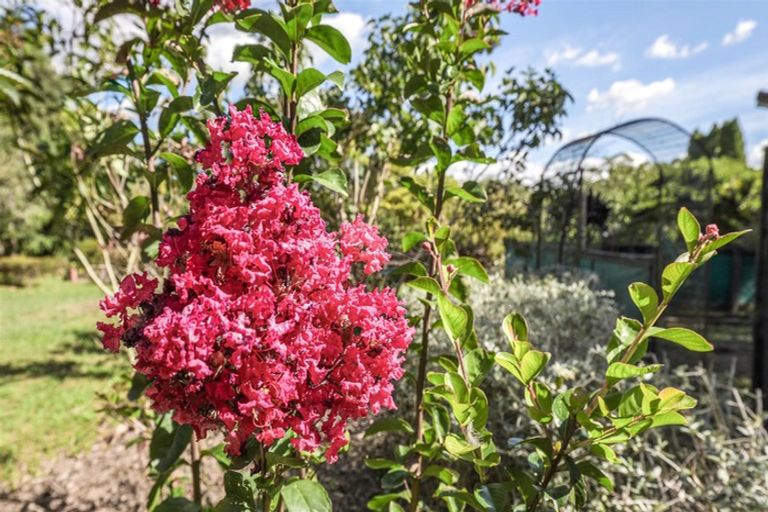 Photo of property in 12 Stewart Road, Rangiriri, Te Kauwhata, 3782