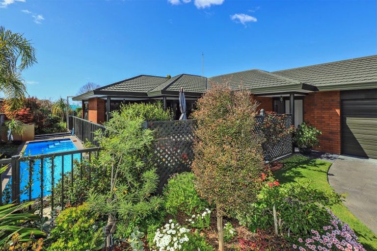 Photo of property in 21 Hyatt Grove, Greenmeadows, Napier, 4112