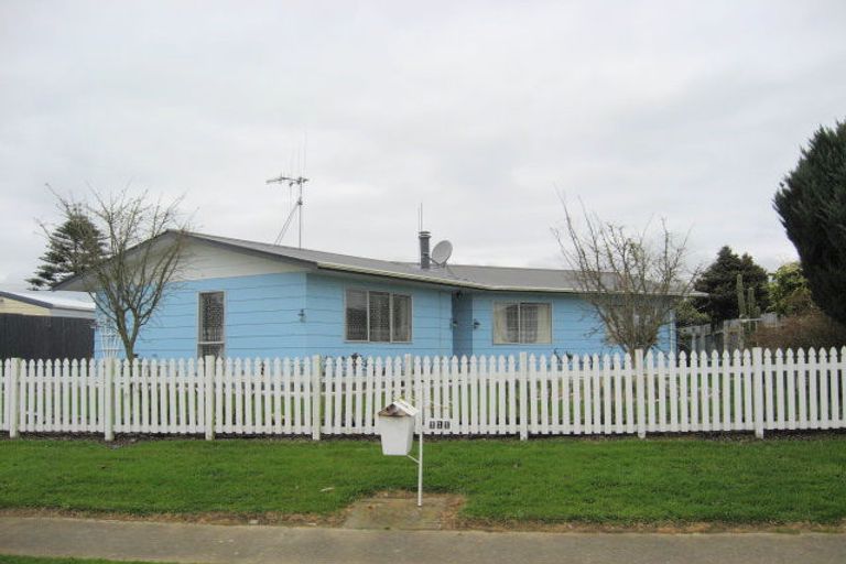Photo of property in 111 Ryder Crescent, Levin, 5510