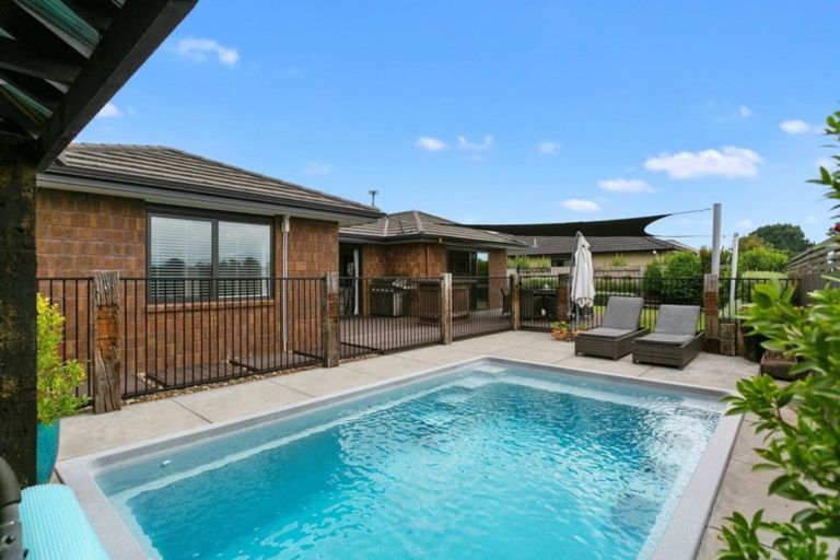 Photo of property in 32 Mckenzie Place, Matamata, 3400