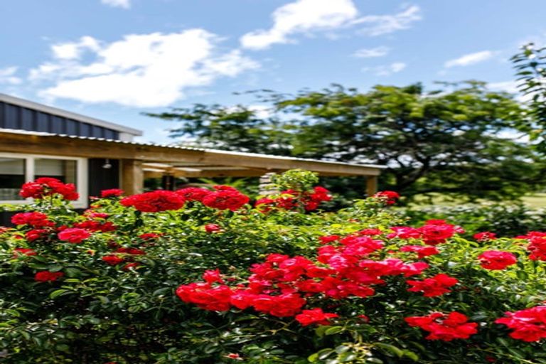 Photo of property in 1 Owen Road, Kawerau, 3127