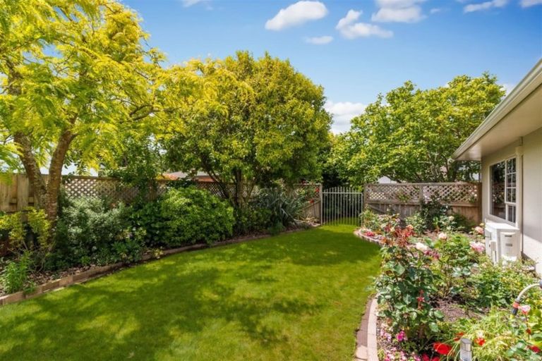 Photo of property in 6 Charles Henry Place, Harrowfield, Hamilton, 3210