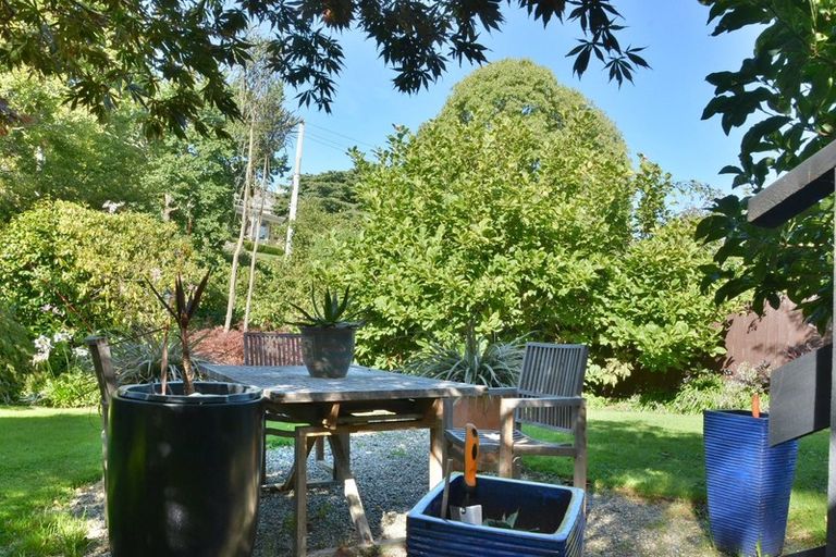 Photo of property in 17 Napier Street, Belleknowes, Dunedin, 9011