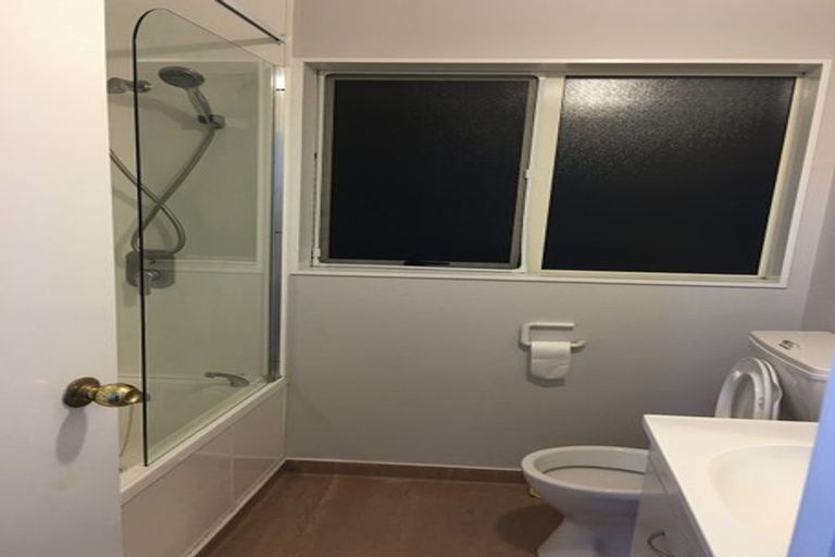 Photo of property in 15 Robin Brooke Drive, Flat Bush, Auckland, 2019