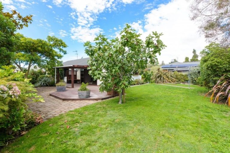 Photo of property in 17 Buick Street, Redwoodtown, Blenheim, 7201
