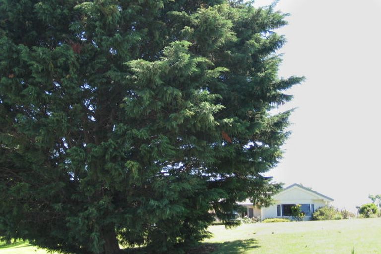 Photo of property in 385 Nelson Road, Riverdale, Gisborne, 4010