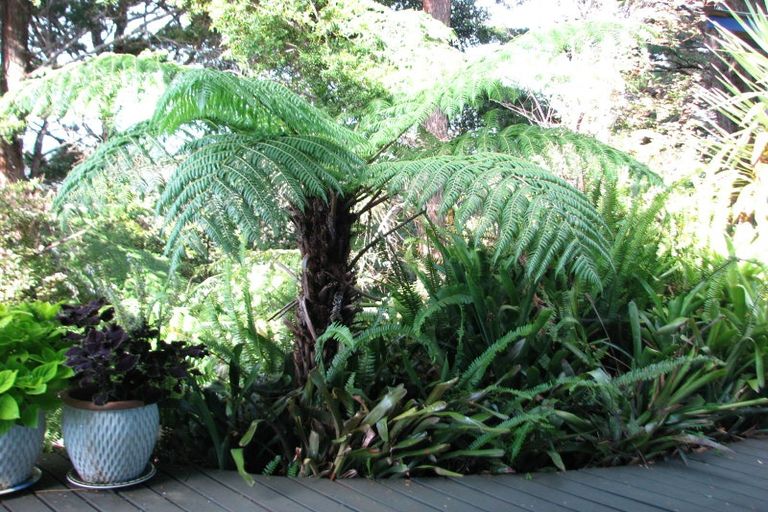 Photo of property in 1188 Paponga Road, Kohukohu, 0491