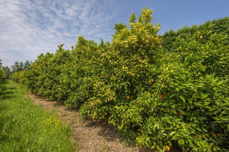 Photo of property in 29 Taurau Valley Road, Manutuke, 4072