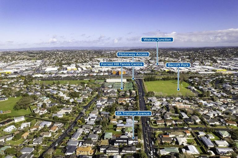 Photo of property in 6a Tristram Avenue, Forrest Hill, Auckland, 0620
