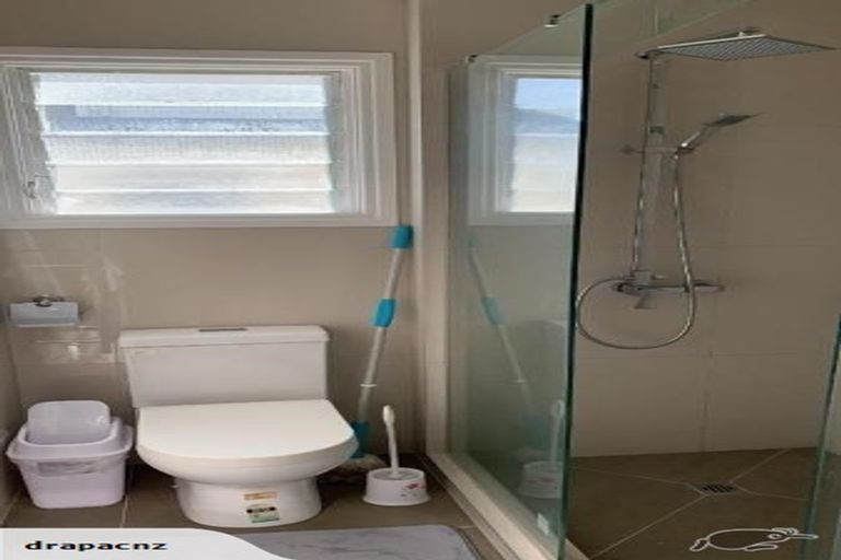 Photo of property in 14 Dignan Street, Point Chevalier, Auckland, 1022