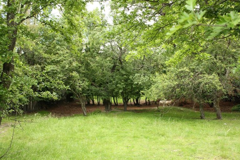 Photo of property in 135 Cambrian Road, Cambrians, Omakau, 9386