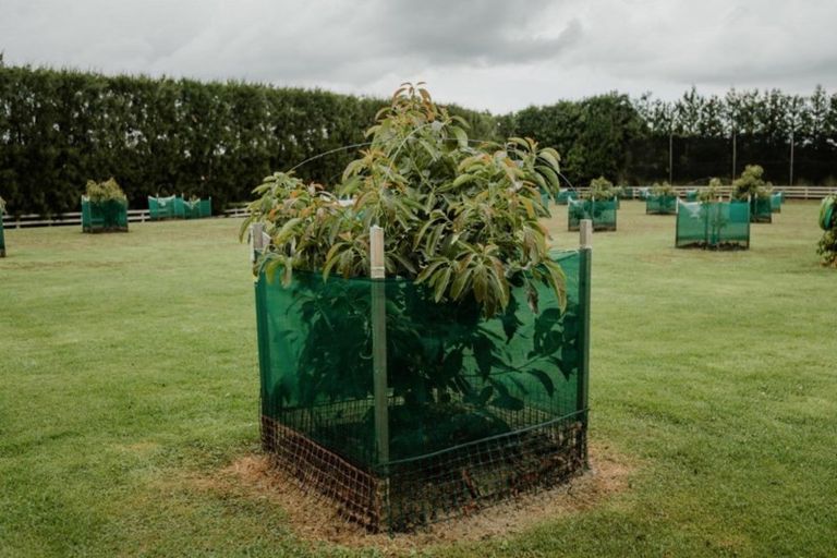 Photo of property in 728 No 1 Road, Te Puke, 3182