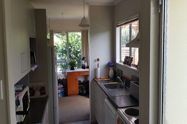 Photo of property in 16 Banks Street, Waihi, 3610