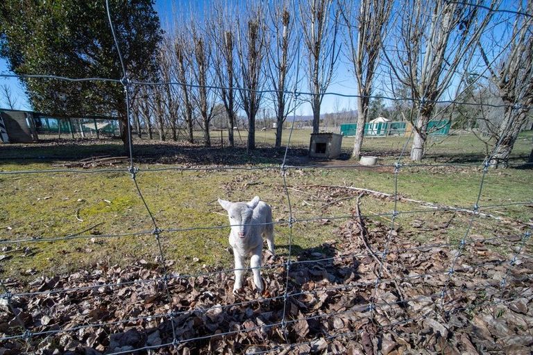 Photo of property in 107 O'neill Lane, Springvale, Alexandra, 9393