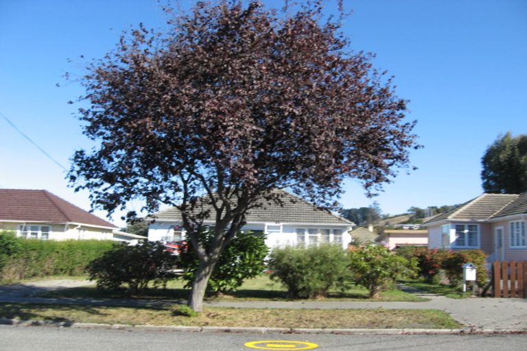 Photo of property in 17 Raglan Street, Oamaru North, Oamaru, 9400