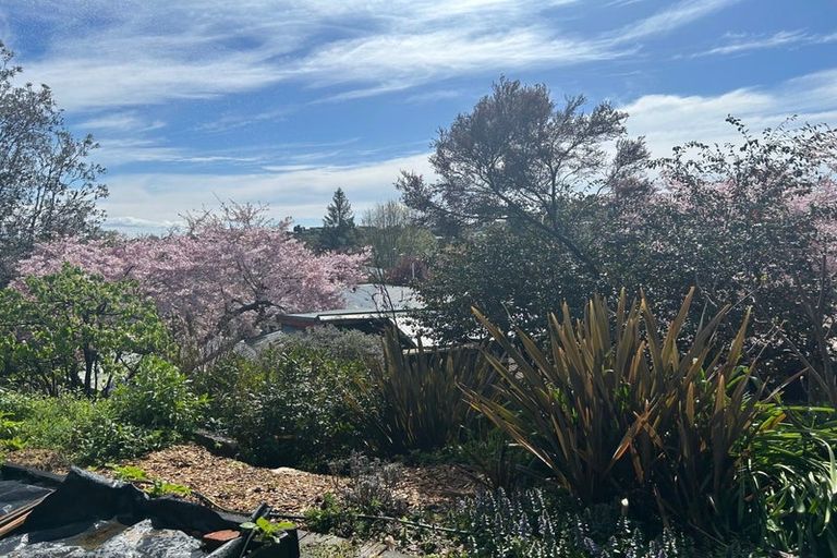 Photo of property in 40 Plassey Street, Havelock North, 4130