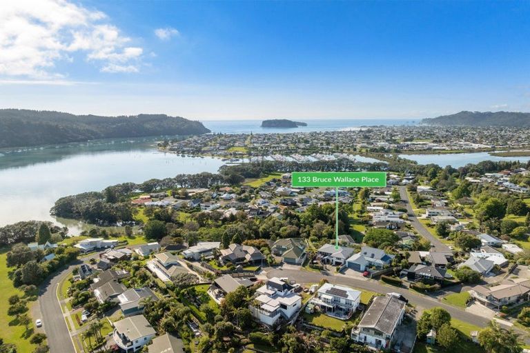Photo of property in 133 Bruce Wallace Place, Whangamata, 3620