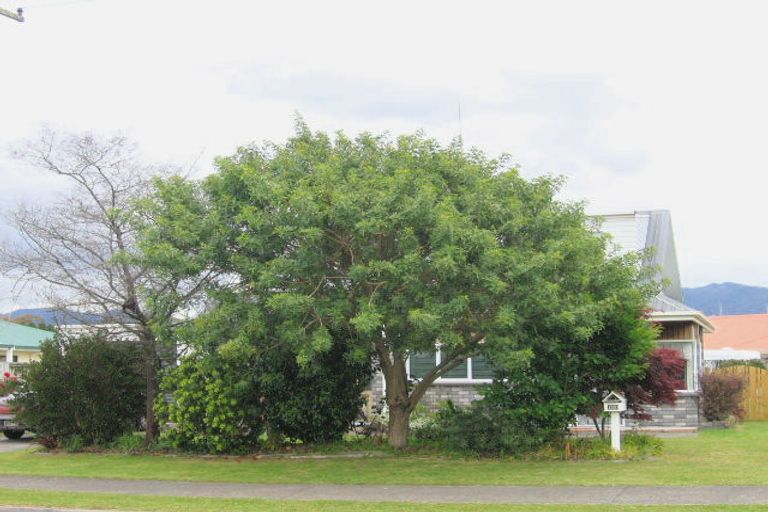 Photo of property in 120 Wills Road, Katikati, 3129