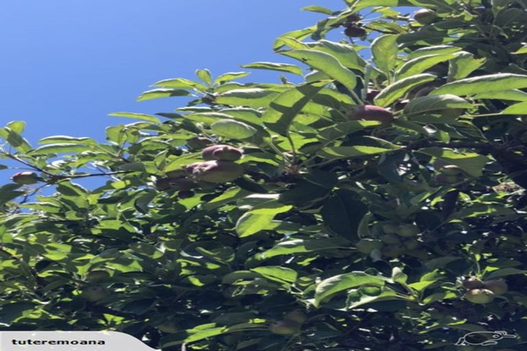 Photo of property in 72 Kent Street, Carterton, 5713