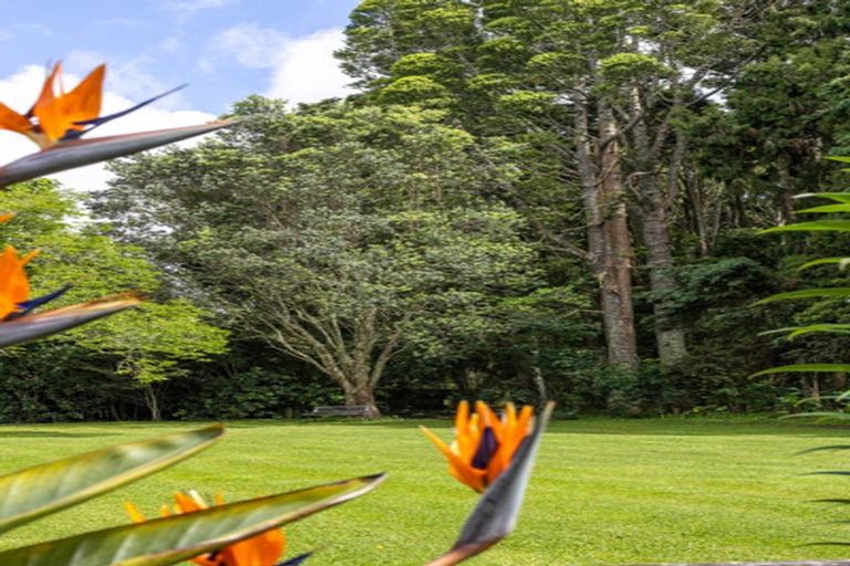 Photo of property in 1174 Kahikatea Flat Road, Waitoki, Kaukapakapa, 0871