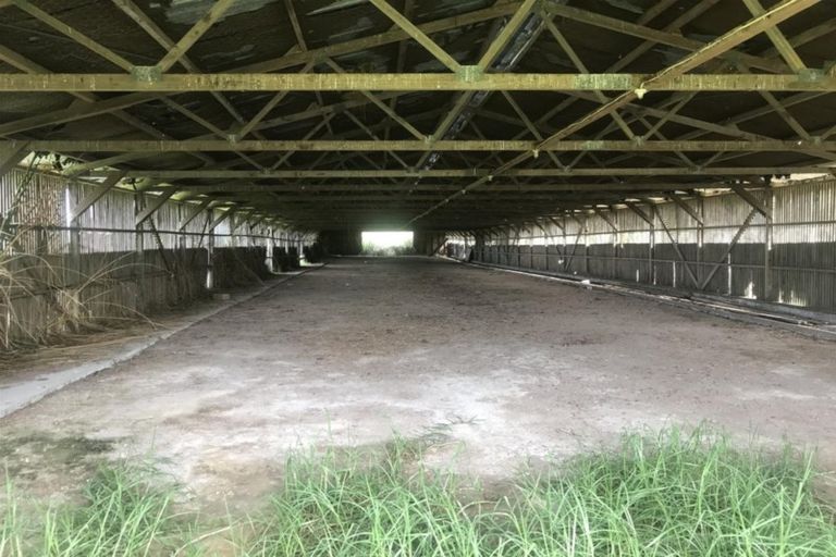 Photo of property in 77 Beach Road, Dargaville, 0310