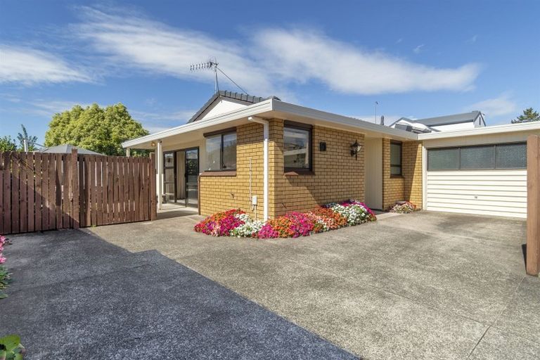 Photo of property in 3/478 Devonport Road, Tauranga South, Tauranga, 3112