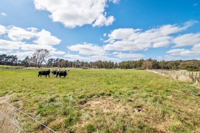 Photo of property in 3125 State Highway 1, Sanson, Palmerston North, 4479