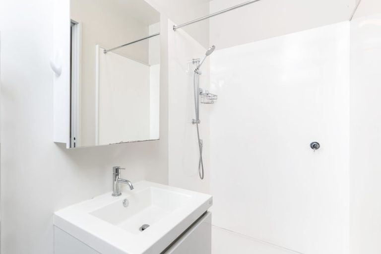 Photo of property in Aniva Terrace, 14 Arney Street, Newtown, Wellington, 6021