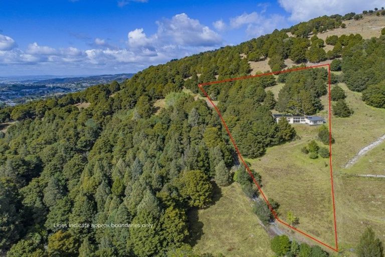 Photo of property in 34 Crane Road, Kauri, 0185