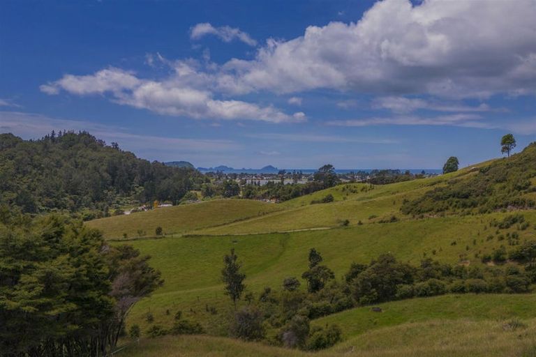 Photo of property in 49 Red Bridge Road, Pukepoto, Hikuai, 3579