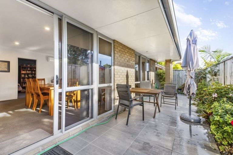 Photo of property in 261a Maungatapu Road, Maungatapu, Tauranga, 3112