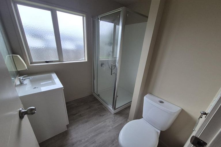 Photo of property in 67 Massey Street, Frankton, Hamilton, 3204