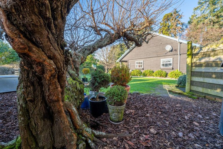 Photo of property in 100 Oak Street, Orari, Geraldine, 7992