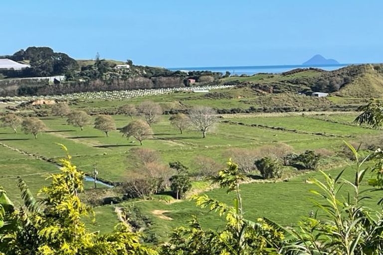 Photo of property in 72 Tirohanga Road, Tirohanga, Opotiki, 3197