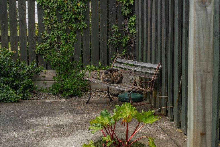 Photo of property in 8 Puriri Crescent, Lansdowne, Masterton, 5810