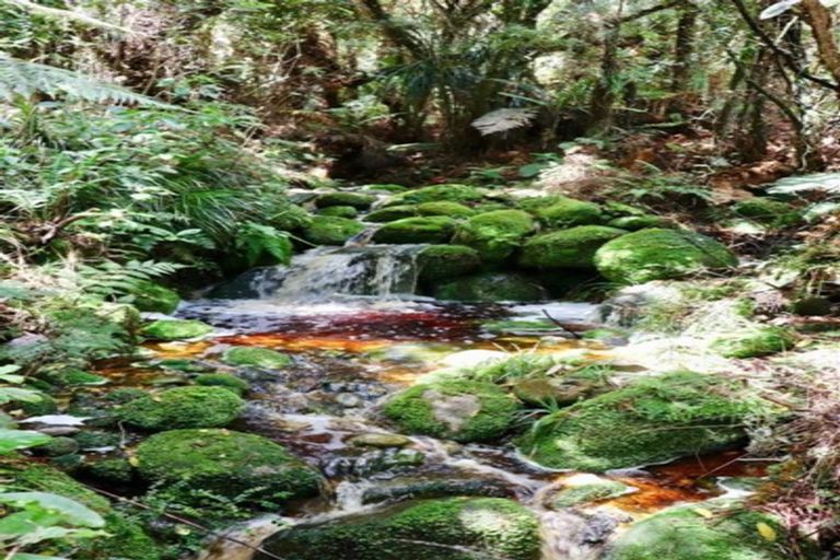 Photo of property in 4870 Karamea Highway, Karamea, 7893