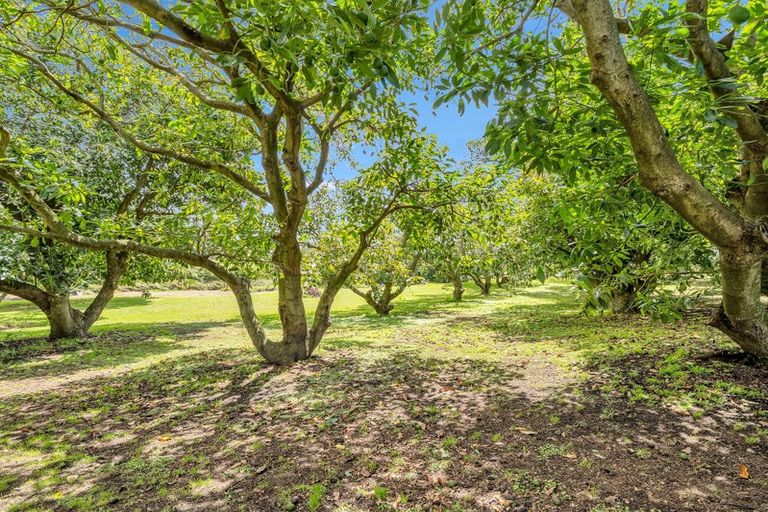 Photo of property in 23 Collins Lane, Te Puke, 3187