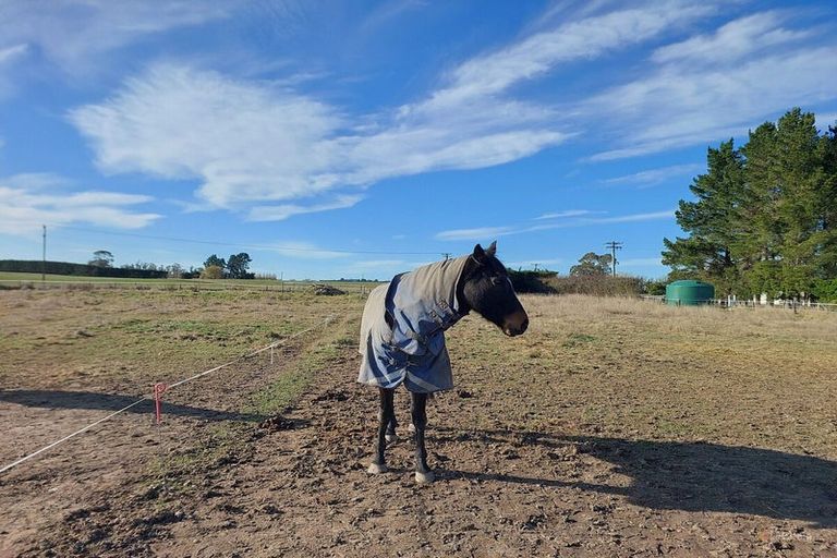 Photo of property in 8 Minnie Street, Waimate, 7980