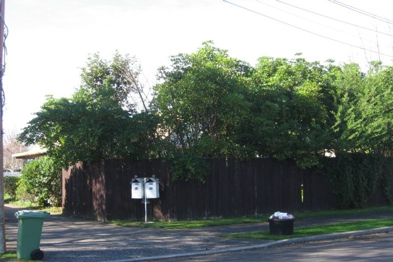 Photo of property in 14a Alexander Street, Tauranga South, Tauranga, 3112