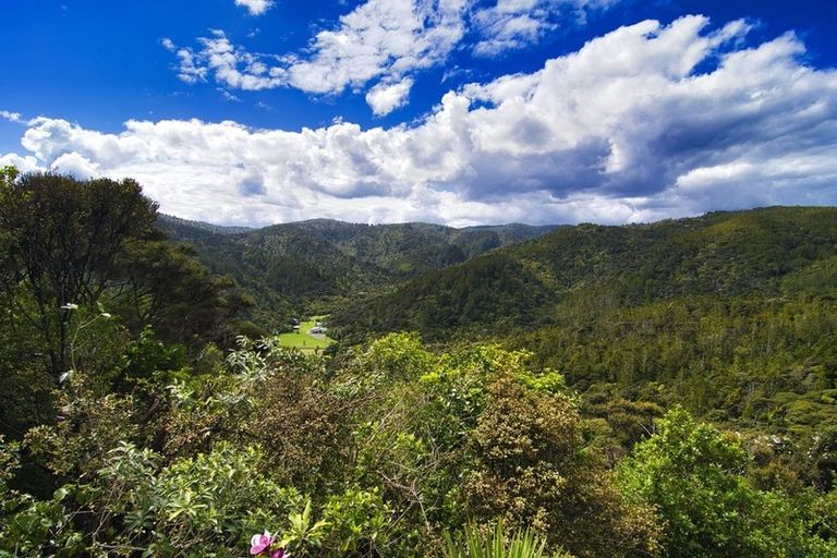 Photo of property in 15 Pendrell Road, Piha, New Lynn, 0772