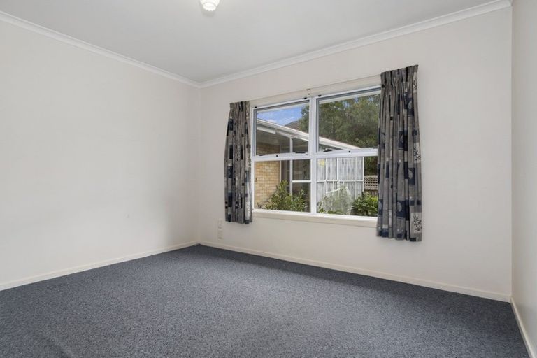 Photo of property in 117 Fourteenth Avenue, Tauranga South, Tauranga, 3112