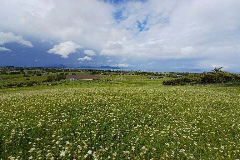 Photo of property in 211 Sandford Road, Ruakaka, Whangarei, 0171