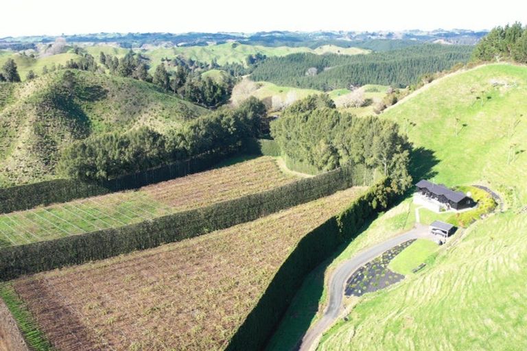 Photo of property in 809 Pikowai Road, Pikowai, Whakatane, 3194