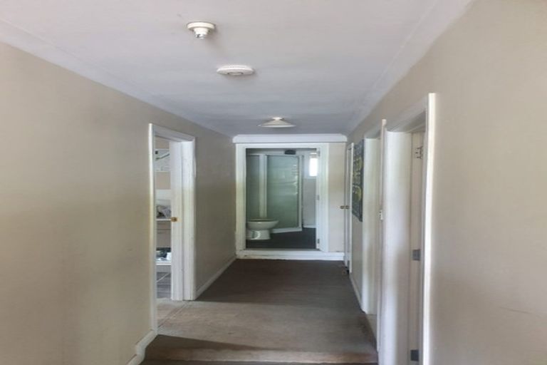 Photo of property in 35 Alexander Street, Kingsland, Auckland, 1021