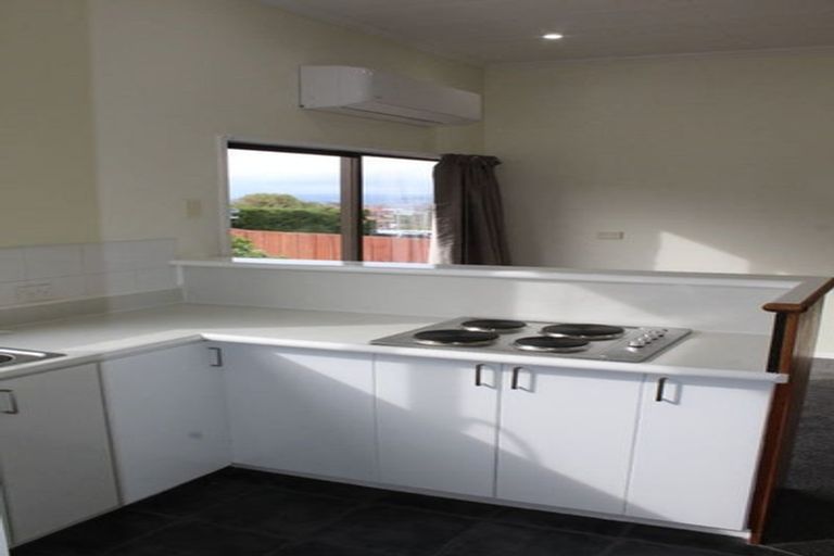 Photo of property in 9 Wills Street, Balaclava, Dunedin, 9011