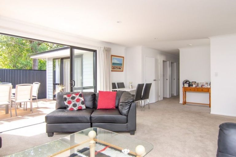 Photo of property in 22a Alfred Street, Roslyn, Palmerston North, 4414